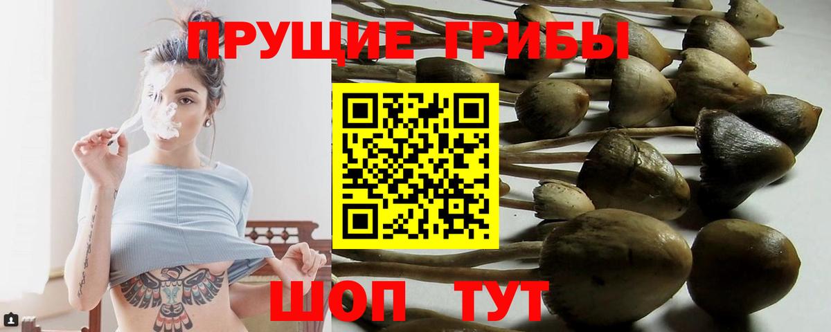 Псилоцибиновые грибы мицелий  Галлюциногенные грибы GOLDEN TEACHER  Берёзовский  Вход с VPN 