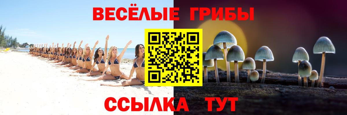 Псилоцибиновые грибы MAGIC MUSHROOMS Берёзовский